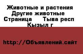 Животные и растения Другие животные - Страница 2 . Тыва респ.,Кызыл г.